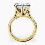 10kt Yellow Gold Sandra Side Stone Lab Diamond Ring side right image one