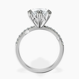 Platinum Phoebe Twigs Lab Diamond Ring side right image one