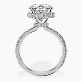 10kt White Gold Cleopatra Halo Lab Diamond Ring side right image one