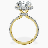14kt Yellow Gold Cleopatra Halo Lab Diamond Ring side right image one