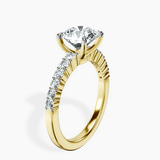 standing product image one
