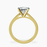 10kt Yellow Gold Lucent Side Channel Set Lab Diamond Ring side right image one