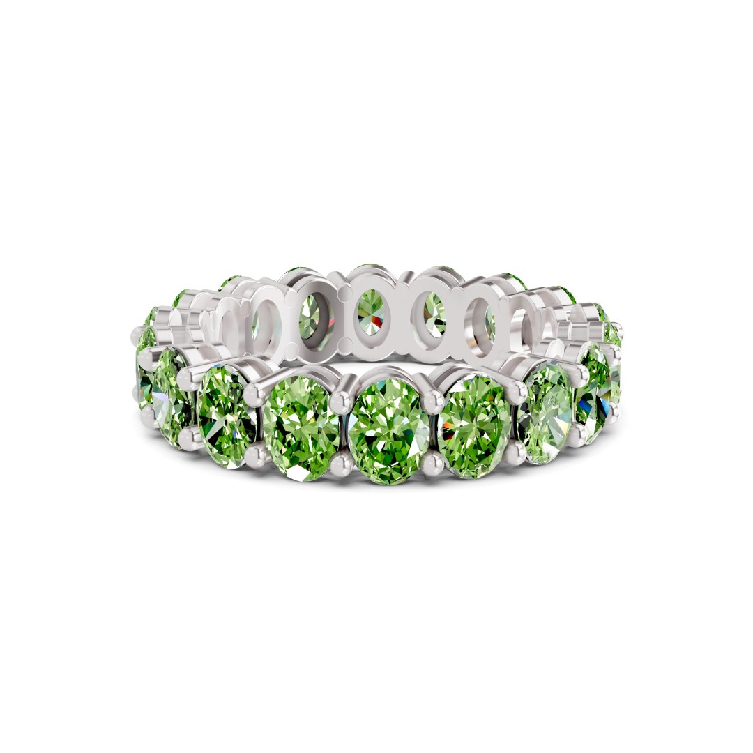 14kt White Gold Camila Oval Lab Diamond Eternity Ring (7 Ct. Tw.) front image