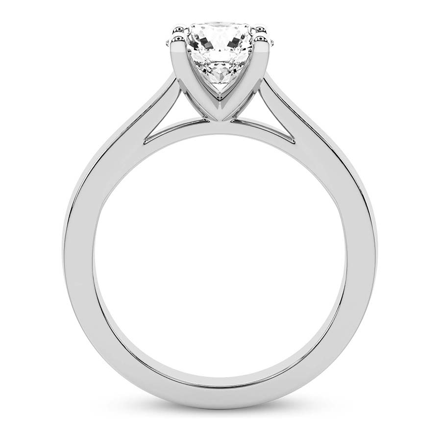 side_right_image_one