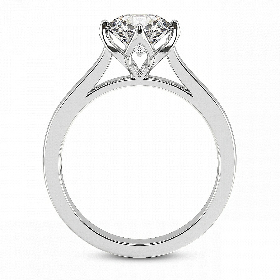 side_right_image_one