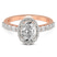 Vionna Round Halo Lab Diamond Ring