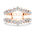 Aube Guard Ring
