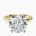 Pre-Designed 10kt Yellow Gold Four Prong Solitaire 2mm Lab Diamond Ring