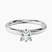 Pre-Designed 10kt White Gold Six Prong Solitaire 2mm Lab Diamond Ring