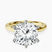 Pre-Designed 14kt Yellow Gold Six Prong Solitaire 2mm Lab Diamond Ring
