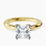 Quinn Solitaire Lab Diamond Engagement Ring in 10kt Yellow Gold