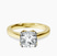 Shye Petal Solitaire Lab Diamond Engagement Ring in 14kt Yellow Gold
