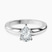 Pre-Designed 14kt White Gold Arielle Solitaire Lab Diamond Ring