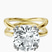 Pre-Designed 18kt Yellow Gold Stella Criss Cross Solitaire Lab Diamond Ring