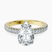 Pre-Designed 14kt Yellow Gold Kourtney Kardashian Secret Double Halo Eternity Lab Diamond Ring