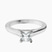 Pre-Designed 10kt White Gold Elsa Hidden Accents Solitaire Lab Diamond Ring