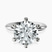 Pre-Designed 14kt White Gold Alora Six Prong Solitaire Lab Diamond Ring