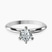 Pre-Designed 14kt White Gold Alora Six Prong Solitaire Lab Diamond Ring