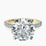 Pre-Designed 18kt Yellow Gold Claire Full Eternity Lab Diamond Ring
