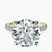 Pre-Designed 18kt Yellow Gold Claire Full Eternity Lab Diamond Ring