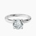 Pre-Designed 10kt White Gold Lyla Hidden Accents Solitaire Lab Diamond Ring