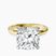 Pre-Designed 10kt Yellow Gold Lyla Hidden Accents Solitaire Lab Diamond Ring