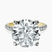 Pre-Designed 14kt Yellow Gold Serena Eternity Lab Diamond Ring