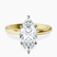 Pre-Designed 14kt Yellow Gold Siran Secret Halo Lab Diamond Ring