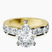 Alfreda Half Eternity Lab Diamond Engagement Ring in 9ct Yellow Gold