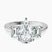 Denise Three stone Side Emerald Lab Diamond Engagement Ring in 10kt White Gold