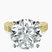 Pre-Designed 10kt Yellow Gold Cheryl Side Stone Lab Diamond Ring