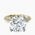 Pre-Designed 18kt Yellow Gold Dua Side Stone Knife Edge Lab Diamond Ring