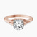 Cynthia Split Shank Lab Diamond Engagement Ring in 18kt Rose Gold