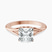 Cynthia Split Shank Lab Diamond Engagement Ring in 18kt Rose Gold