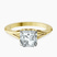 Cynthia Split Shank Lab Diamond Engagement Ring in 10kt Yellow Gold