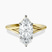 Cynthia Split Shank Lab Diamond Engagement Ring in 10kt Yellow Gold