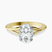 Cynthia Split Shank Lab Diamond Engagement Ring in 10kt Yellow Gold