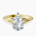 Cynthia Split Shank Lab Diamond Engagement Ring in 10kt Yellow Gold