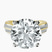 Pre-Designed 14kt Yellow Gold Sandra Side Stone Lab Diamond Ring