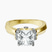 Delanie Side Cuff Lab Diamond Engagement Ring in 10kt Yellow Gold