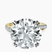 Pre-Designed 10kt Yellow Gold Phoebe Twigs Lab Diamond Ring