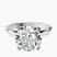 Pre-Designed 10kt White Gold Magnolia Texture Solitaire Lab Diamond Ring