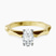 Pre-Designed 10kt Yellow Gold Magnolia Texture Solitaire Lab Diamond Ring