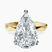 Pre-Designed 10kt Yellow Gold Magnolia Texture Solitaire Lab Diamond Ring