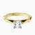 Pre-Designed 10kt Yellow Gold Magnolia Texture Solitaire Lab Diamond Ring