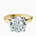 Pre-Designed 10kt Yellow Gold Magnolia Texture Solitaire Lab Diamond Ring