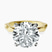 Pre-Designed 14kt Yellow Gold Magnolia Texture Solitaire Lab Diamond Ring