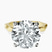Pre-Designed 14kt Yellow Gold Magnolia Texture Solitaire Lab Diamond Ring