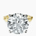 Pre-Designed 14kt Yellow Gold Magnolia Texture Solitaire Lab Diamond Ring