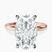 Pre-Designed 14kt Rose Gold Mildred Hidden Halo Solitaire Lab Diamond Ring